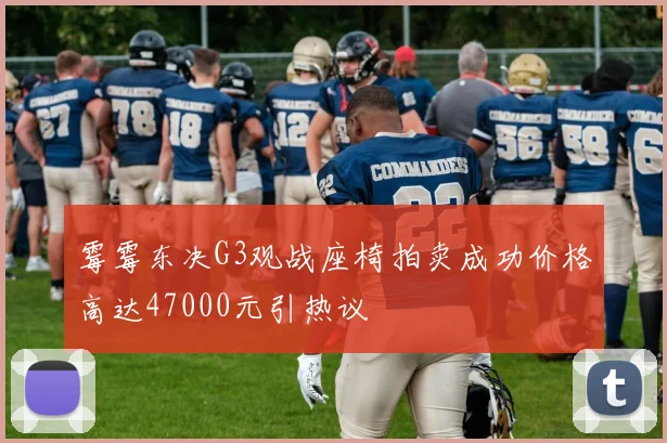 霉霉东决G3观战座椅拍卖成功价格高达47000元引热议